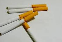 广东烟草专卖店